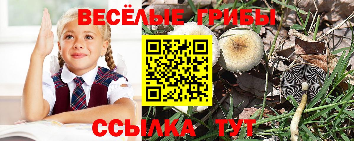 Ефремов  Галлюциногенные грибы Psilocybine cubensis  купить закладку  Вход с VPN 